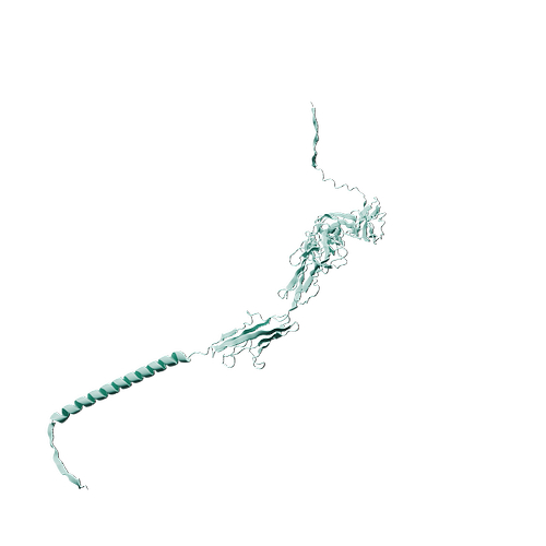 Rhesus Macaque ICAM-1 (C-Fc, HEK293)